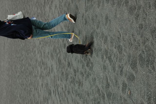 春の海。おててつないで歩こうよ、ルパン。