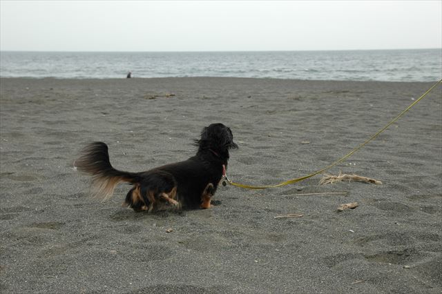 あ・・・。お水で流しとくね・・。