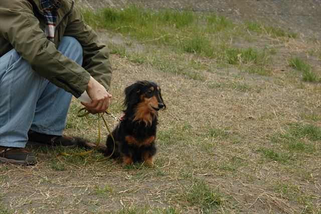 いつまでも３人家族だよ。