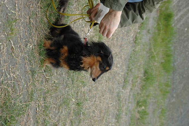 何見てるのかなぁ。ルパンのこと何でも知りたかった。