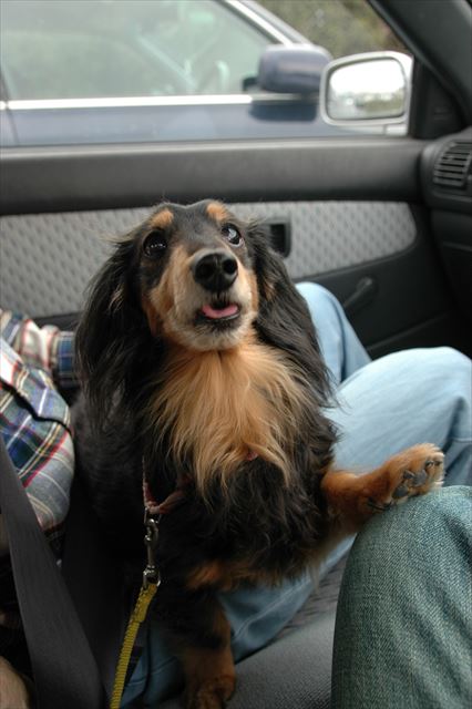 いつでも一緒♪