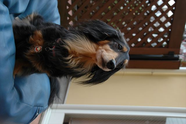 ルパン、会いたいよ、会いたいよ・・