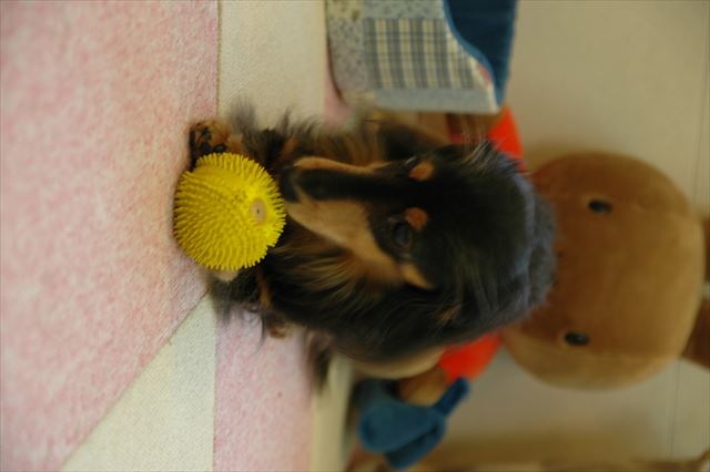 ルパンとこの部屋にいるのが楽しかった。幸せだった。