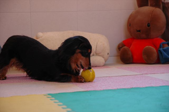 ごきげんだね・・！