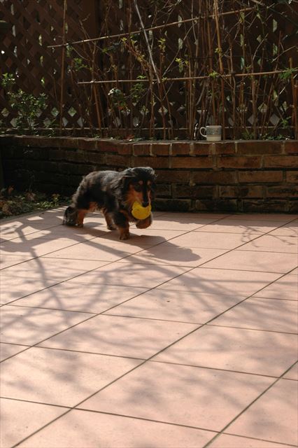 上手上手・・ここまで持ってきて！