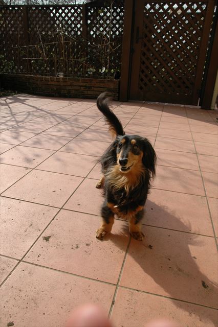 もっと遊ぶ？うん、あそぼあそぼ♪