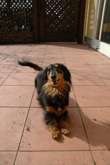 うんうん、あそぼあそぼ！