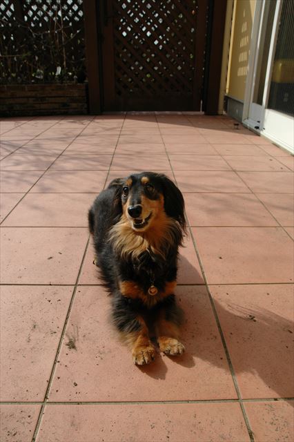 あそぼ！あそぼ！うん、遊そぼ♪