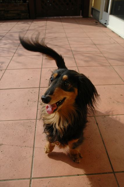 うんうん、あそぼ！あそぼ！