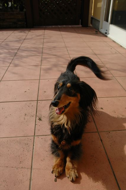 もっともっと！あそぼ♪