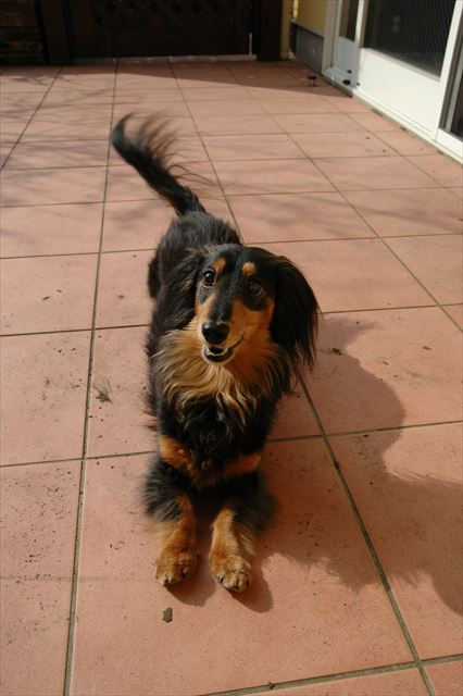 うんうん、遊ぼうね。