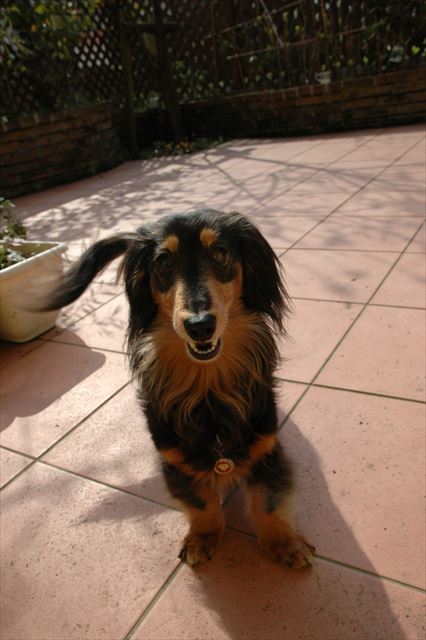 いくぞ～。ボール投げるぞ～。