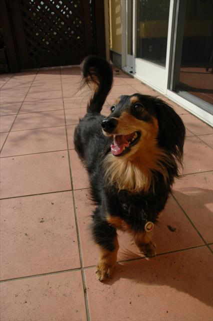 「ボール、投げて投げて！！」