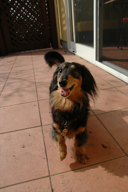 ルパンからいつも元気をもらってたよ。