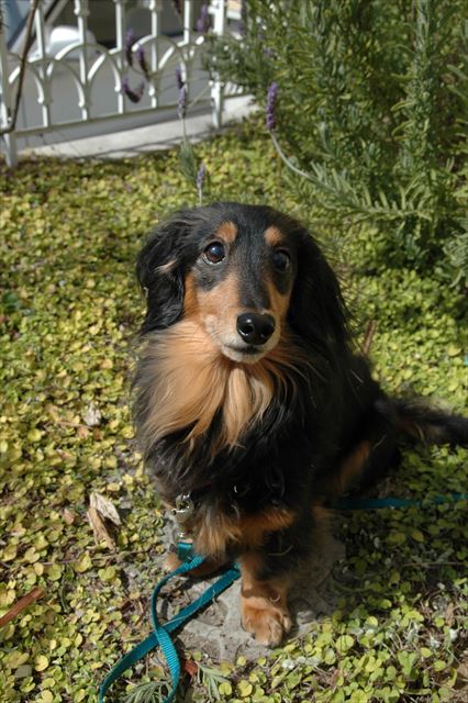 なーに？何か訴えてるでしょ？