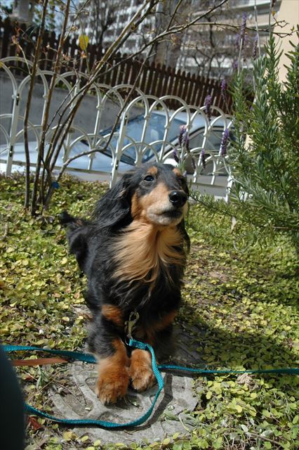 ひなたぼっこ。気持ちいいね。