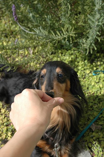 この場所が大好きだった。もう少しだよ、もう少しで取り戻せるよ。