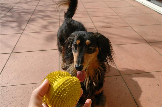 投げて投げて。ボール早く投げて！！