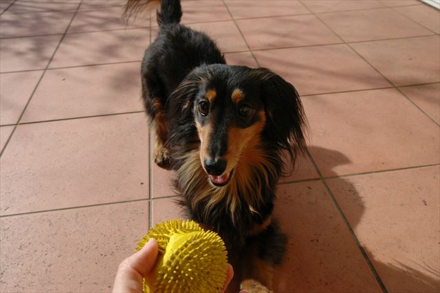 投げて投げて！！