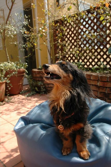 奥に詰まっちゃった？