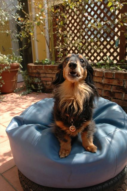 ひなたぼっこ♪