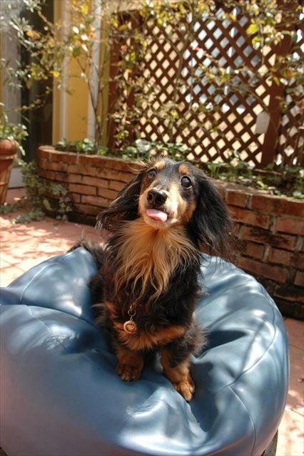 そんなかわいい顔して見つめられたらたまらないよ！