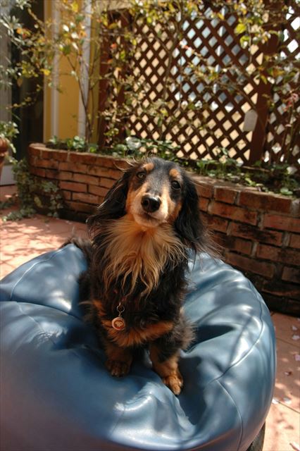 ん？何？ごほうび、でしょ？