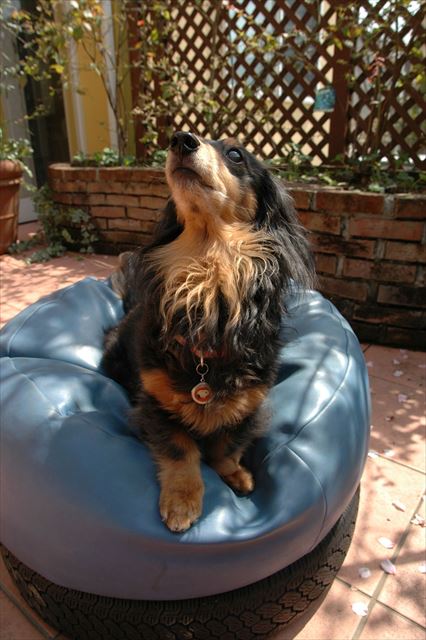 ニーッ・・ってしてるつもり。わかってるよ！わかってる。