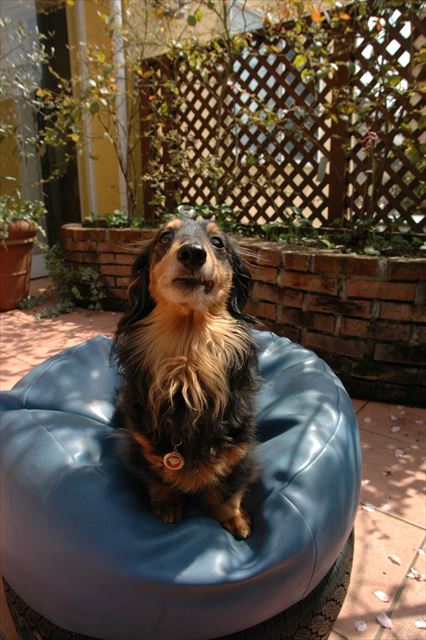 ふふ。かわいい。そんな顔もかわいい♪