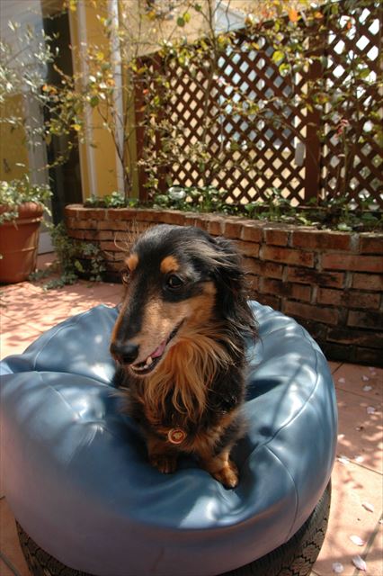 ルパン、大好き。どんな表情のルパンも大好き。