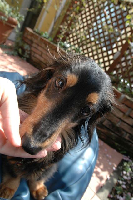 ルパン、大好き♪