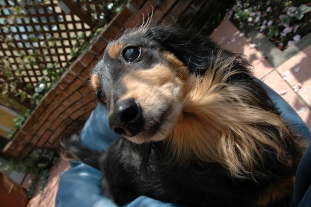 うふ。ルパン、かわいい♪