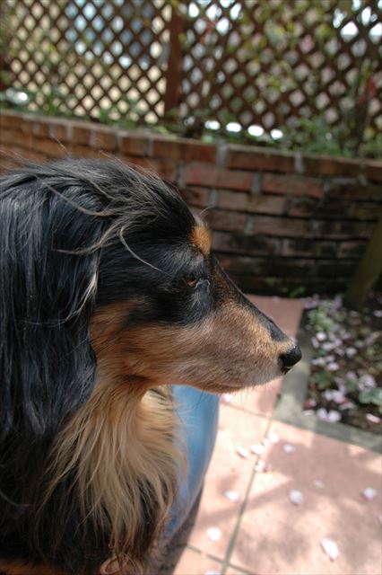 何見てるの？何考えてるの？ルパンのこと、何でも知りたかった。