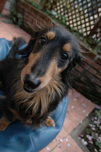 ルパン、会いたいな、ルパン。