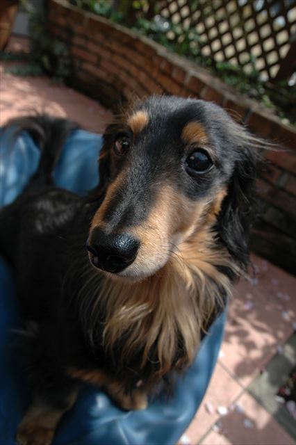 ルパン、最近私、ルパンとの思い出すごーく大事にしたい気分なの