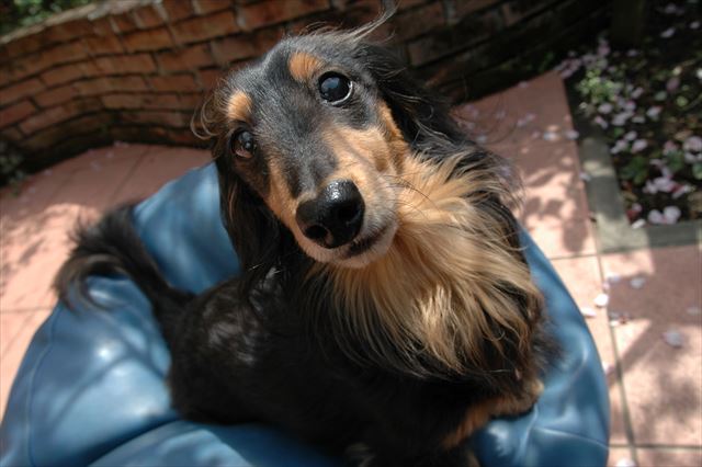 ルパン大好き！ルパン以上に好きなもの、６年経ってもまだ見つからないよ・・。