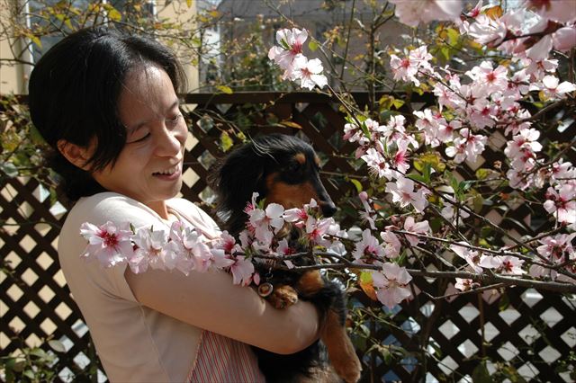 きれいだね、春が来たね。