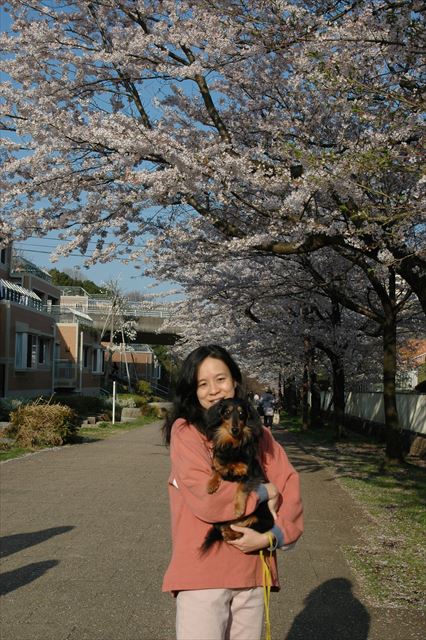 ルパンがいるとお花見も楽しかった・・