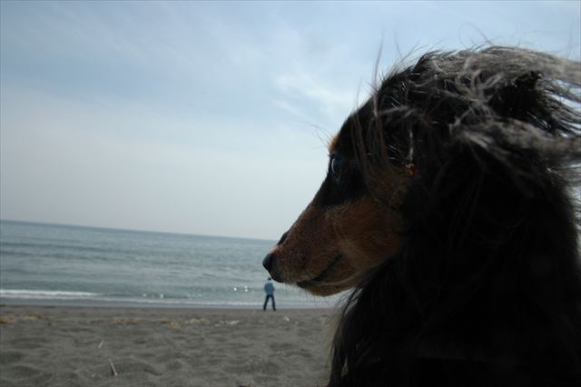 ルパンと一緒。最高の休日！