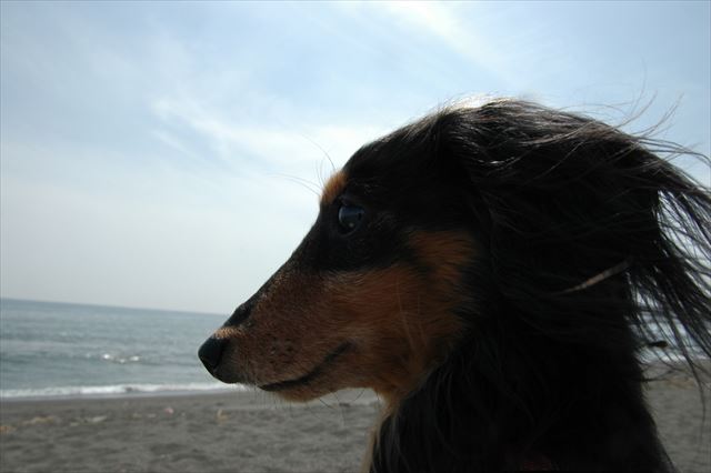 ルパン、空、きれいだね。海、広いね。