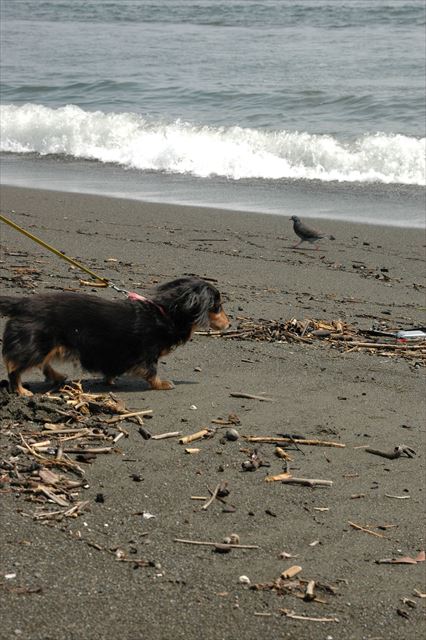 何か気になるもの見つけたかな？