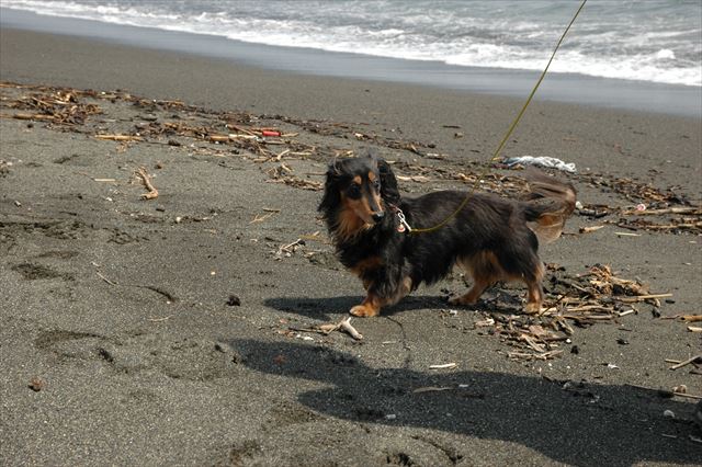 かわいいな、どんな表情もかわいいな。