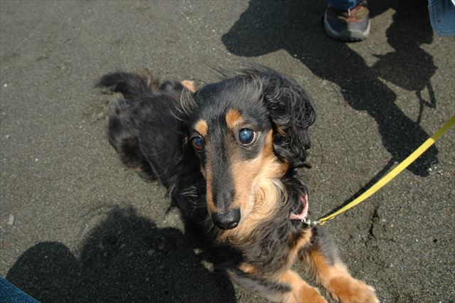 春の海。砂浜あったかくて気持ちいいでしょ？