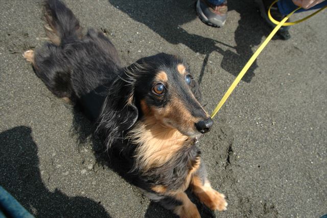 春の海。ポカポカだね。気持ちいいね。