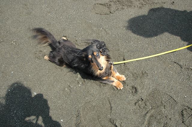 両横には私たちの影。お腹冷やしてるのね。気持ちいいね。