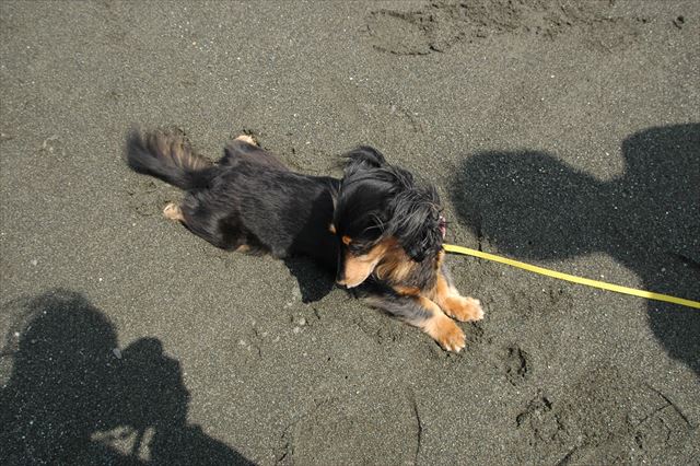 ルパン、大好き。このポーズが大好き。