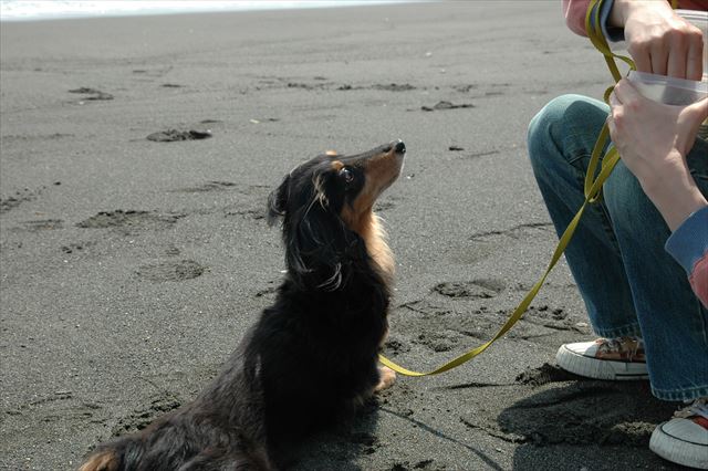 欲しいの？あげるよ、イイコで待ってるね。