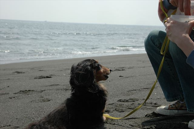 ハイごほうび♪　ルパン、大好き。