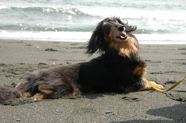 ルパン、大好き。