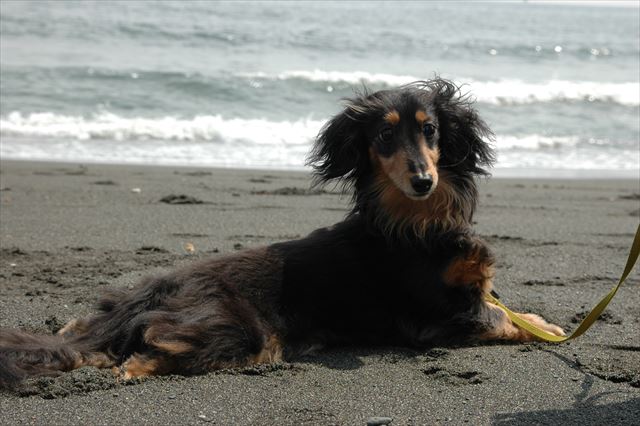 ルパンのこのポーズ、大好きだった・・